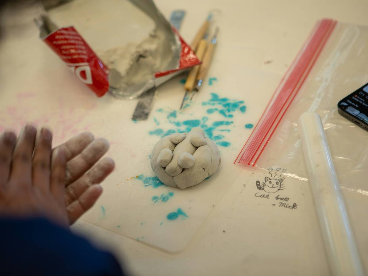 outdoor activity rock painting design step showing smooth river rocks being painted with weather-resistant acrylics under natural light